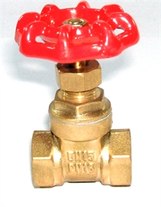 Picture of 1/2" Heavy Model Gate Valve