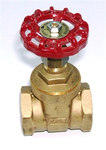 Picture of 1" D151A Gate Valve