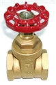 Picture of 1 1/4" D151A Gate Valve