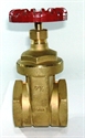 Picture of 2 1/2" D151A Gate Valve
