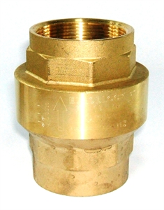 Picture of 2" Check Valve