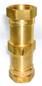 Picture of 1 1/2 Double Check Valve 
